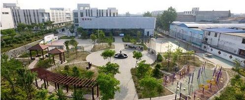 蹲点采访环卫工人8小时工作,蹲点采访