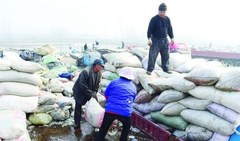 蹲点采访环卫工人8小时工作,蹲点采访