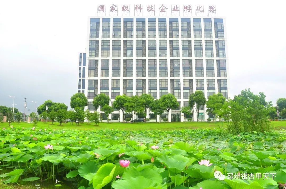 追梦长三角第二站丨“问道”无锡，邳州对标谋发展！