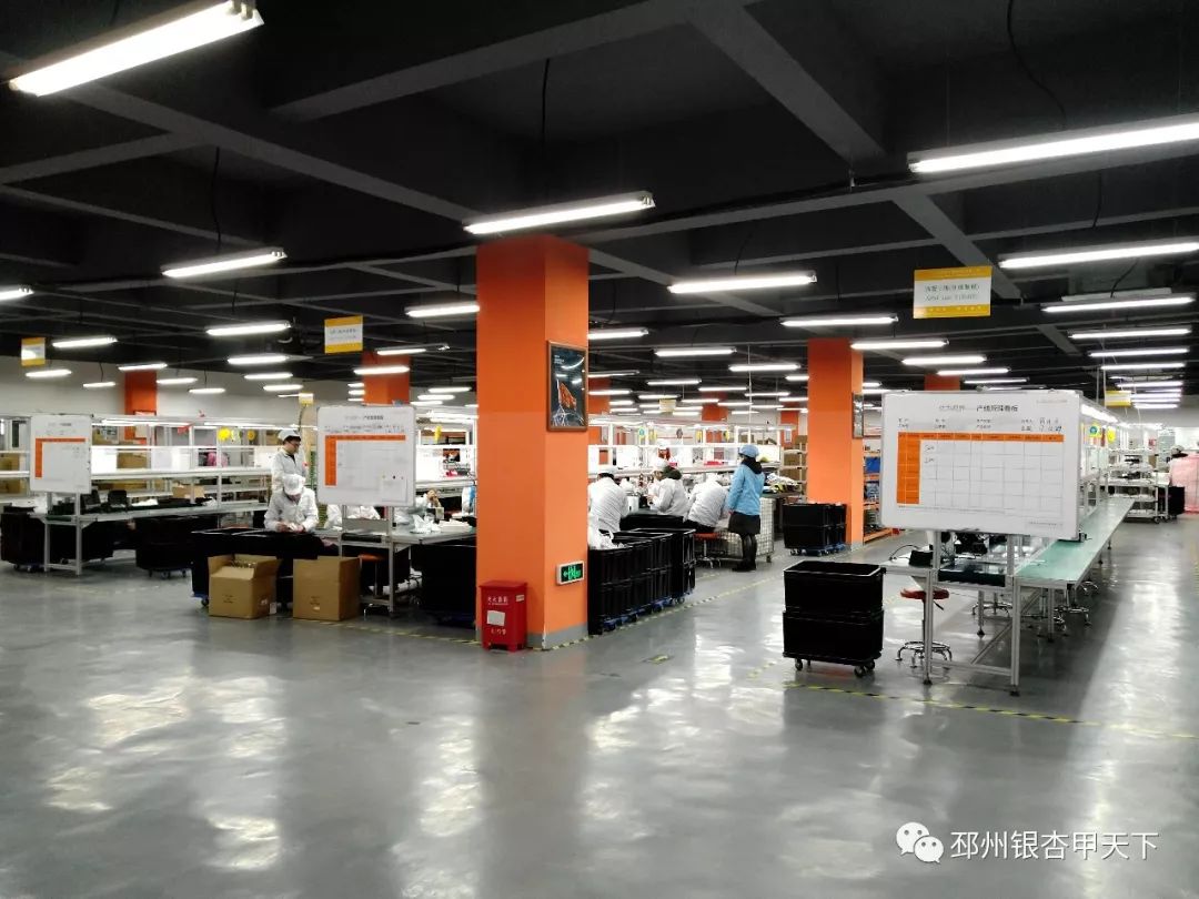 追梦长三角第二站丨“问道”无锡，邳州对标谋发展！