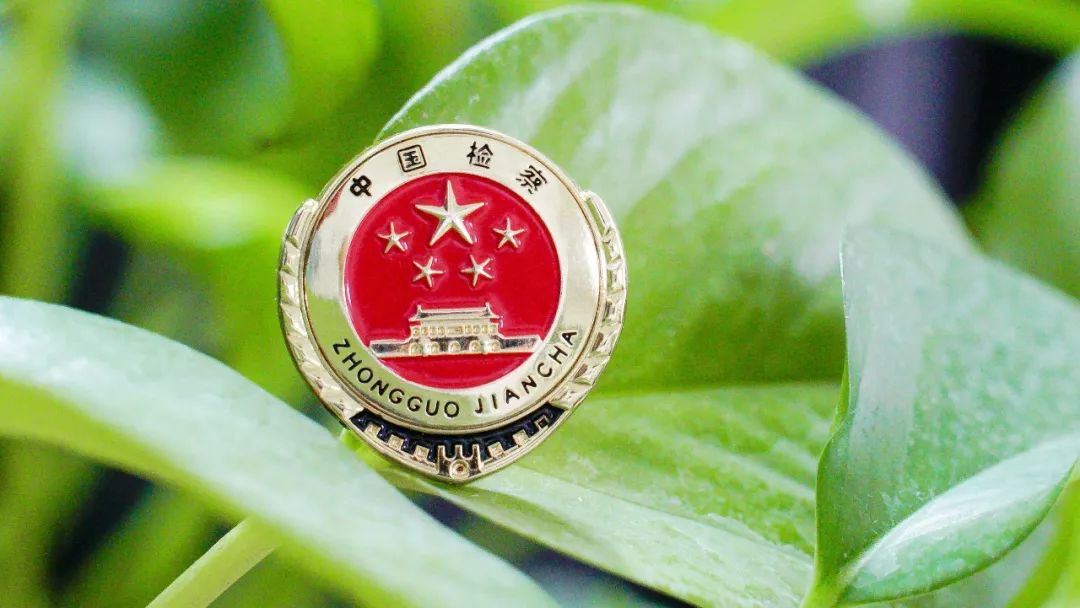 假农药案中案,假农药致农户损失惨重