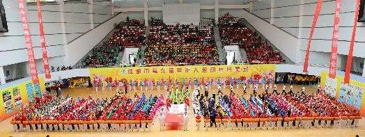 适合中老年人的小型运动会项目,组织老年人活动项目