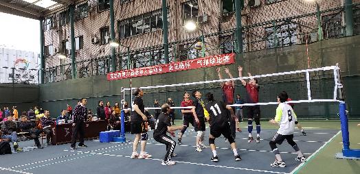 适合中老年人的小型运动会项目,组织老年人活动项目