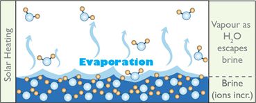 盐的咸味是哪来的？|No.151