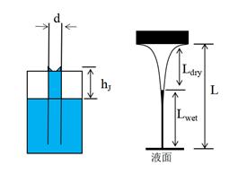 盐的咸味是哪来的？|No.151