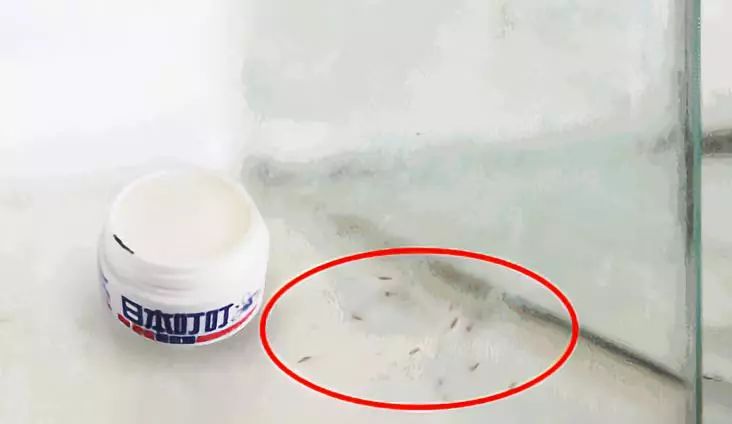 日本最好用的蚊虫膏 (日本变态蚊子膏价格)