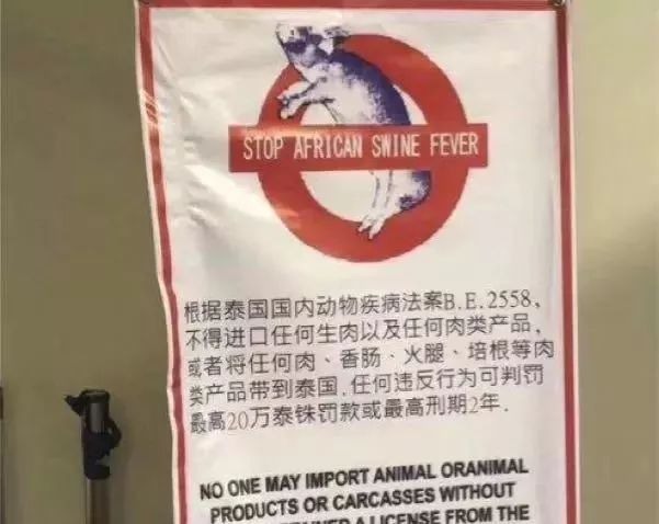 小虎普法丨女子过海关被捕差点被判死刑，只因带了…我们出国行李箱里几乎都有！