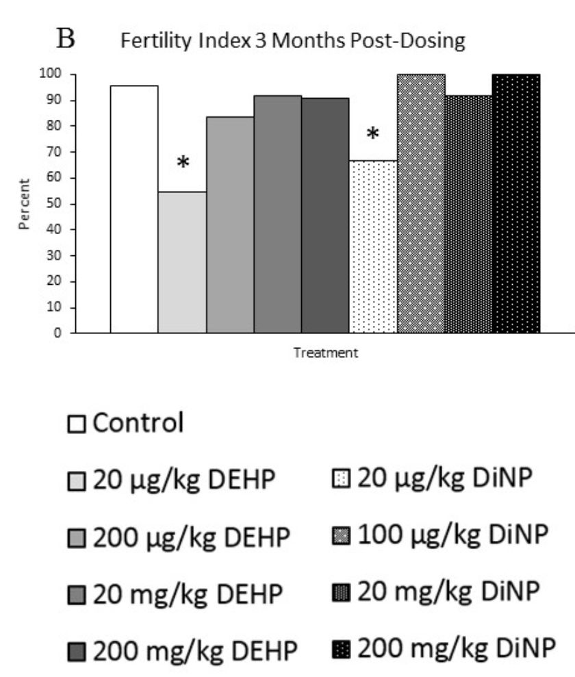 小心塑化剂！科学家证实，日常暴露剂量的塑化剂会导致雌性小鼠生殖能力大幅降落，最高可降50%丨科学大发现