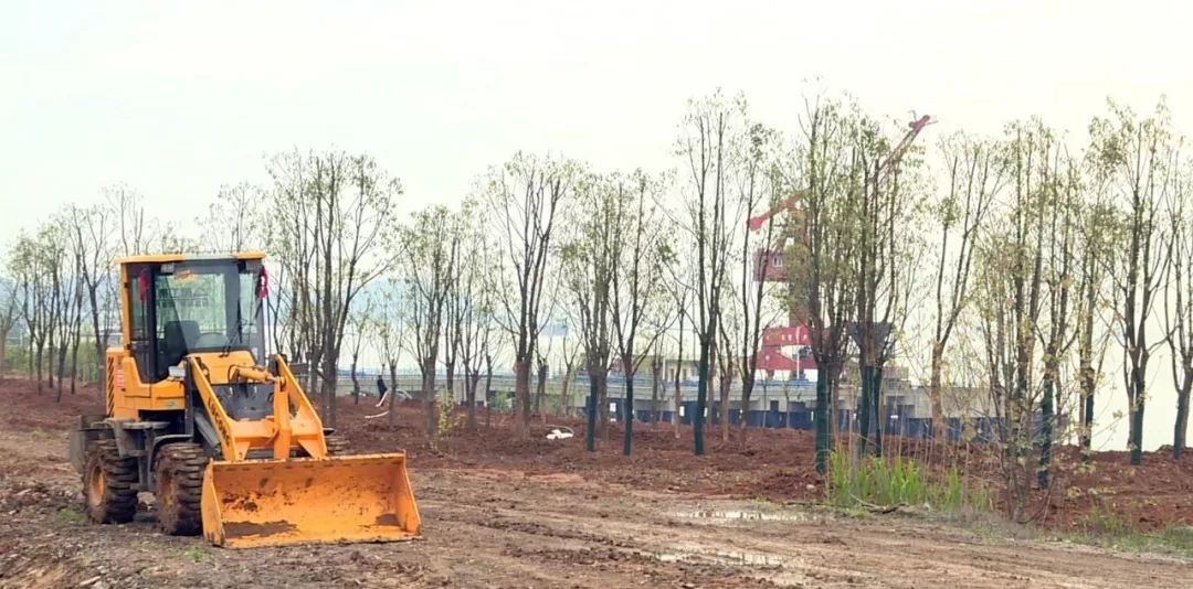 早安2020年4月7日,早安池州