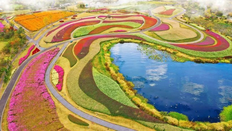 丝巾准备好了吗？杭州绚烂的花海等你们摆起五星