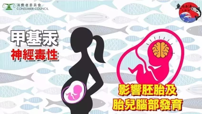 香港消委会：50种刺身样品49种检出重金属，虫卵和线虫也要小心…