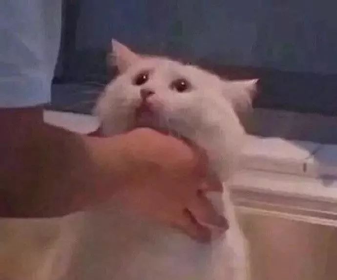 体毛旺盛的女生到底有多惨？？看着都疼啊啊啊啊