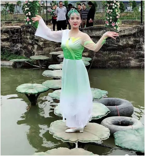 惠来县客鸟尾镇,惠来客鸟尾村