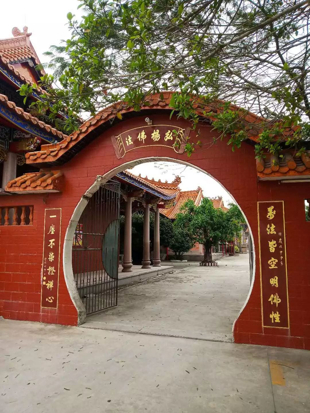 惠来县客鸟尾镇,惠来客鸟尾村