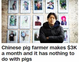 中国养猪现状,农民养猪为何难以致富