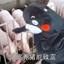 中国养猪现状,农民养猪为何难以致富