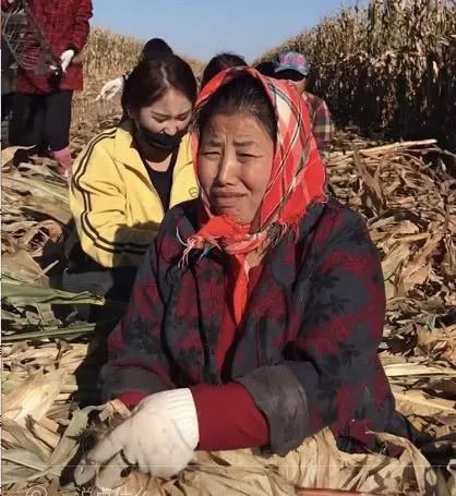 中国养猪现状,农民养猪为何难以致富