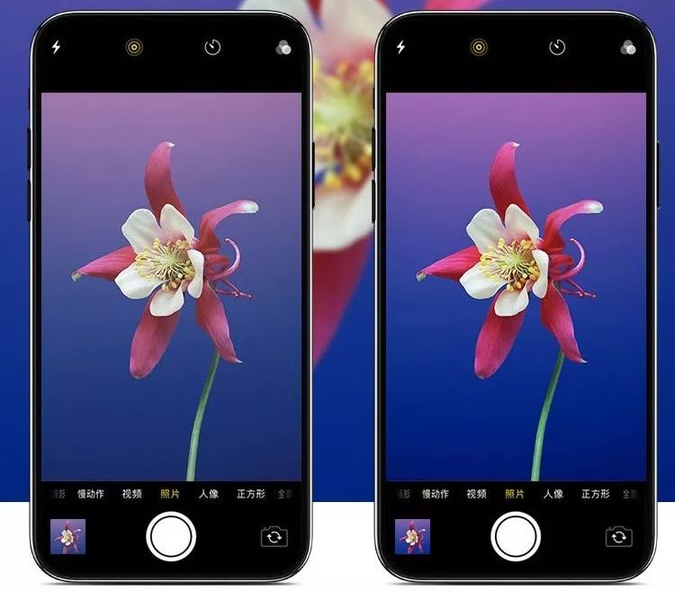 抖音防窥手机膜,抖音同款纳米液态保护膜报价