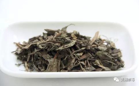 支气管炎健康指导,关于慢性支气管炎的自我保健措施