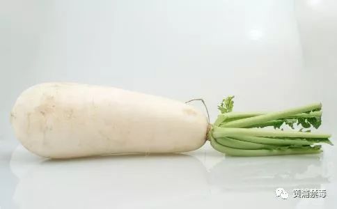 支气管炎健康指导,关于慢性支气管炎的自我保健措施