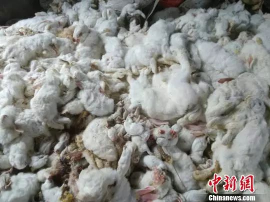 顺丰快递员私自拆女客户包裹,顺丰快递员私拆包裹发朋友圈