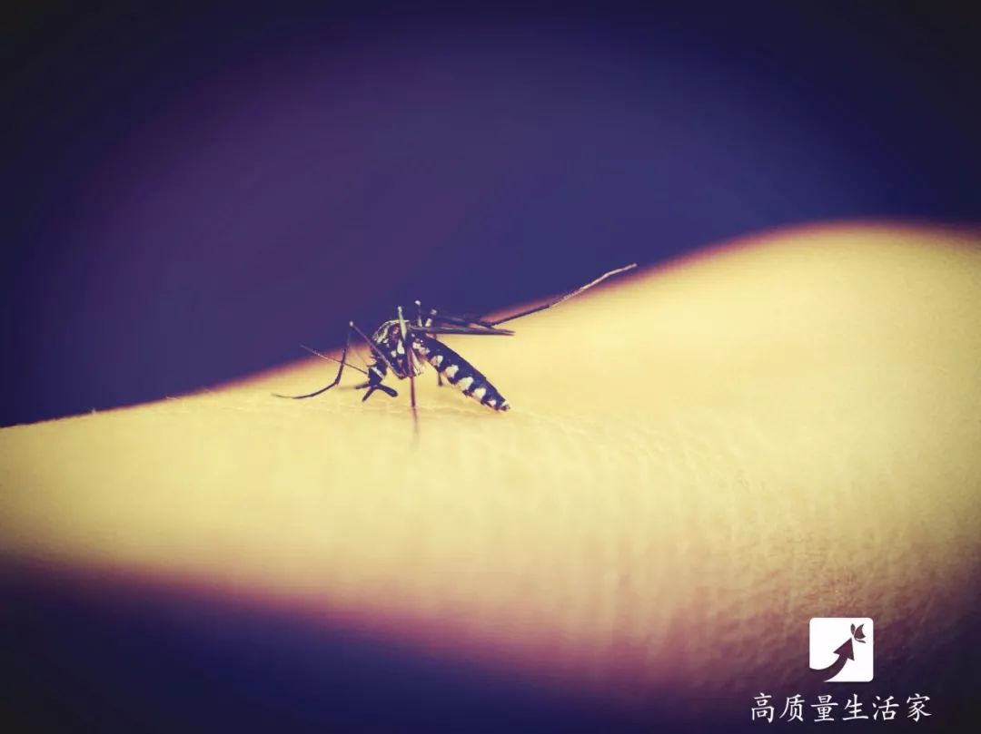 脚痒藿香正气水怎么用,藿香正气水涂脚上有什么功效