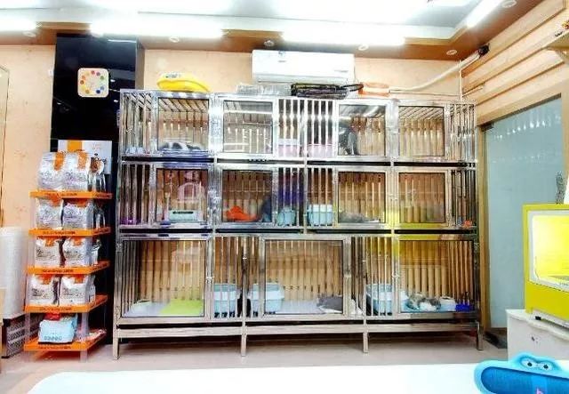 狗狗震惊且害怕,震惊狗狗的行为