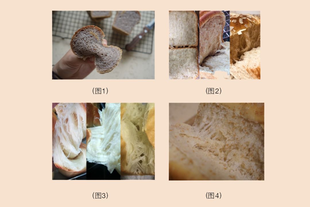 真正吃不胖的全麦面包，如何选？5年总结的经验都在这了