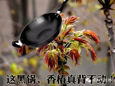 香椿是发物的原因,香椿是发物有根据吗