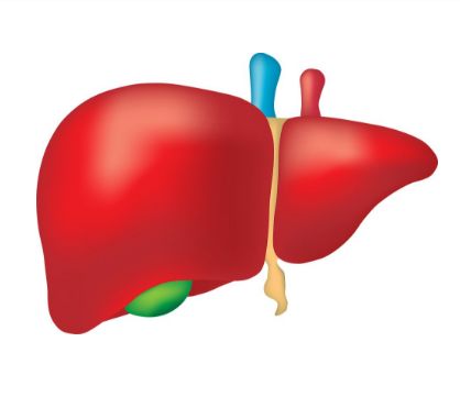 肝病患者平时怎么吃,肝病患者应少吃什么食物