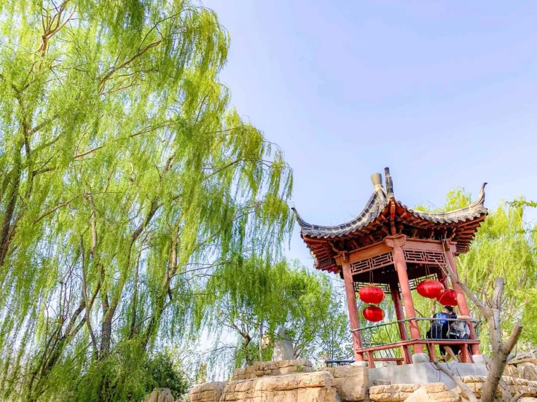 鑱婂煄濮滃牑涔愬洯妯辫姳,鑱婂煄濮滃牑妯辫姳涔愬洯