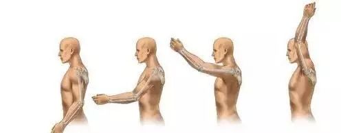 锁骨骨折术前康复训练,锁骨骨折肩胛骨骨折康复