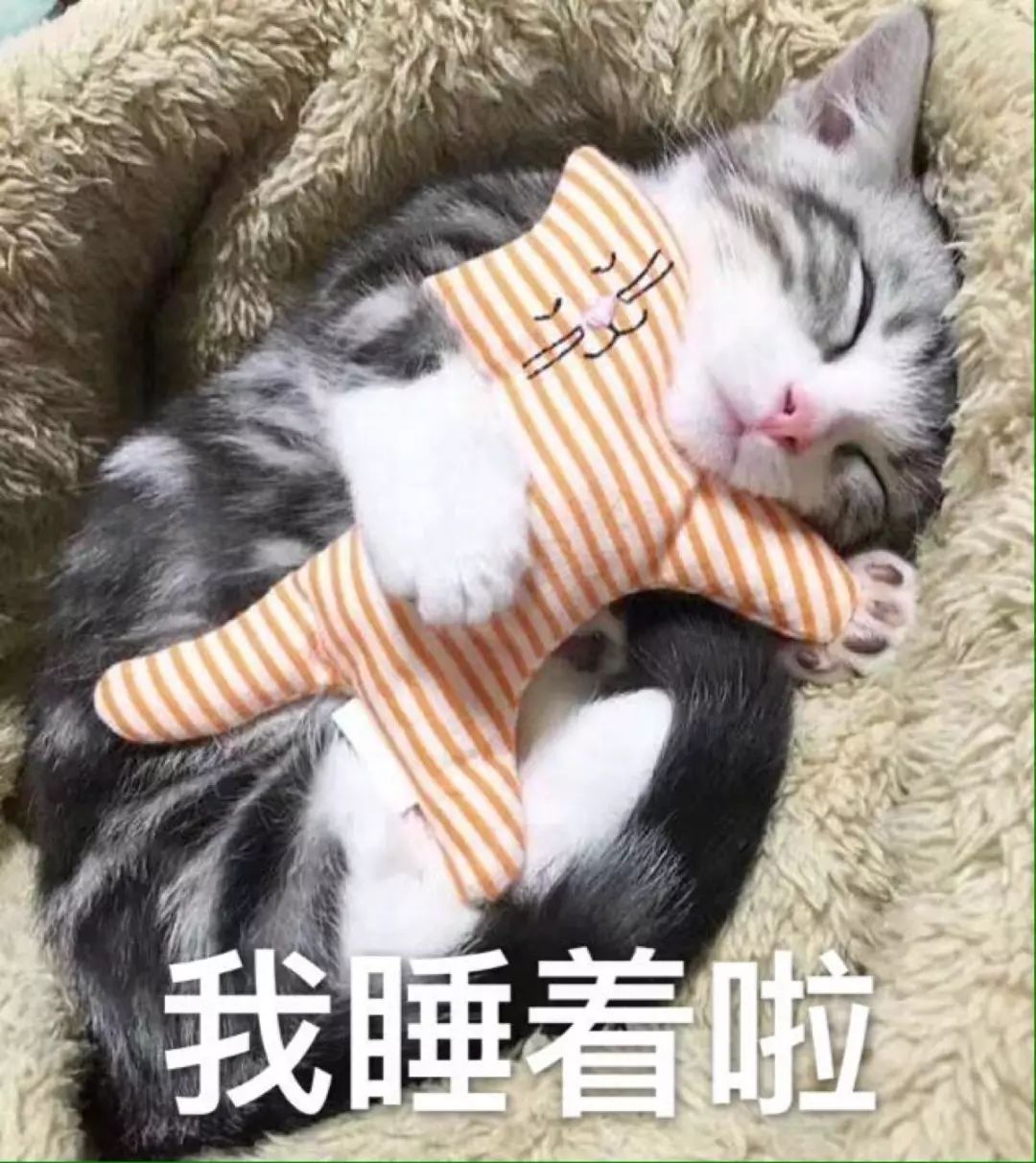 临海陈女士最怕跟同事出差，有件事困扰了她很久