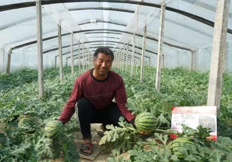 4大核心营销方案,4大核心