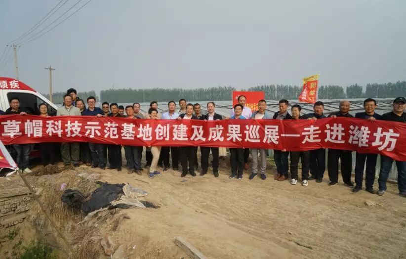 4大核心营销方案,4大核心