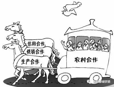 结合自身谈如何服务乡村振兴,结合乡村振兴做好三农服务