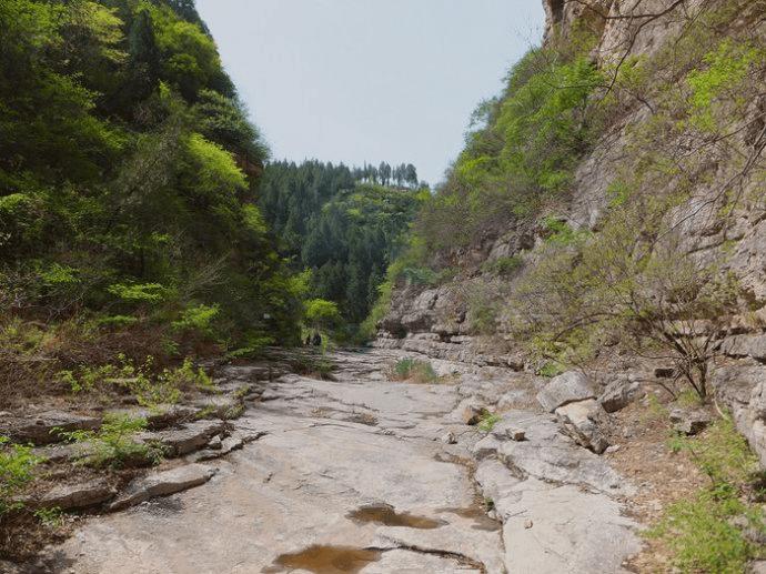 济南老人自驾游好玩的地方,济南野生动物园自驾游从哪个门进