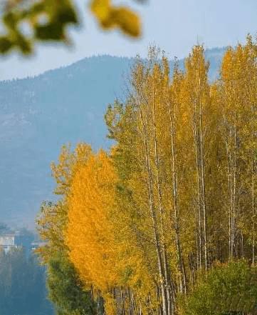 济南老人自驾游好玩的地方,济南野生动物园自驾游从哪个门进