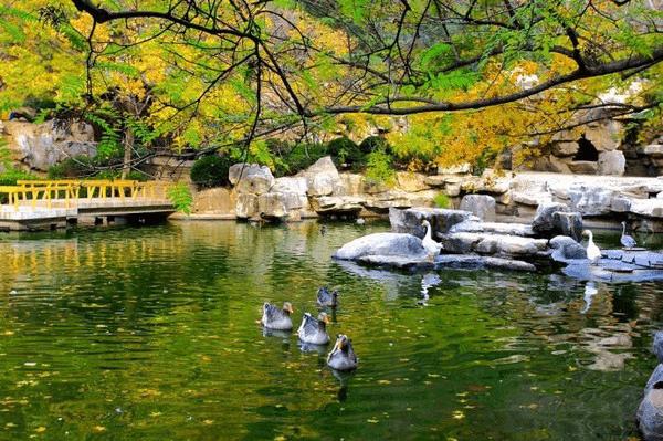 济南老人自驾游好玩的地方,济南野生动物园自驾游从哪个门进