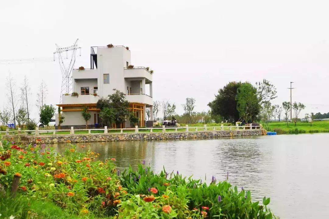 姹傚鐢熸棩娲惧甯冪疆,姹傚鍛婄櫧鐢熸棩娲惧甯冪疆