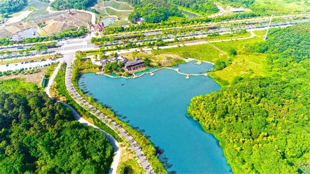 姹傚鐢熸棩娲惧甯冪疆,姹傚鍛婄櫧鐢熸棩娲惧甯冪疆