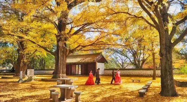 能坐火车出国去哪些国家旅游,出国坐火车必去的五个地方