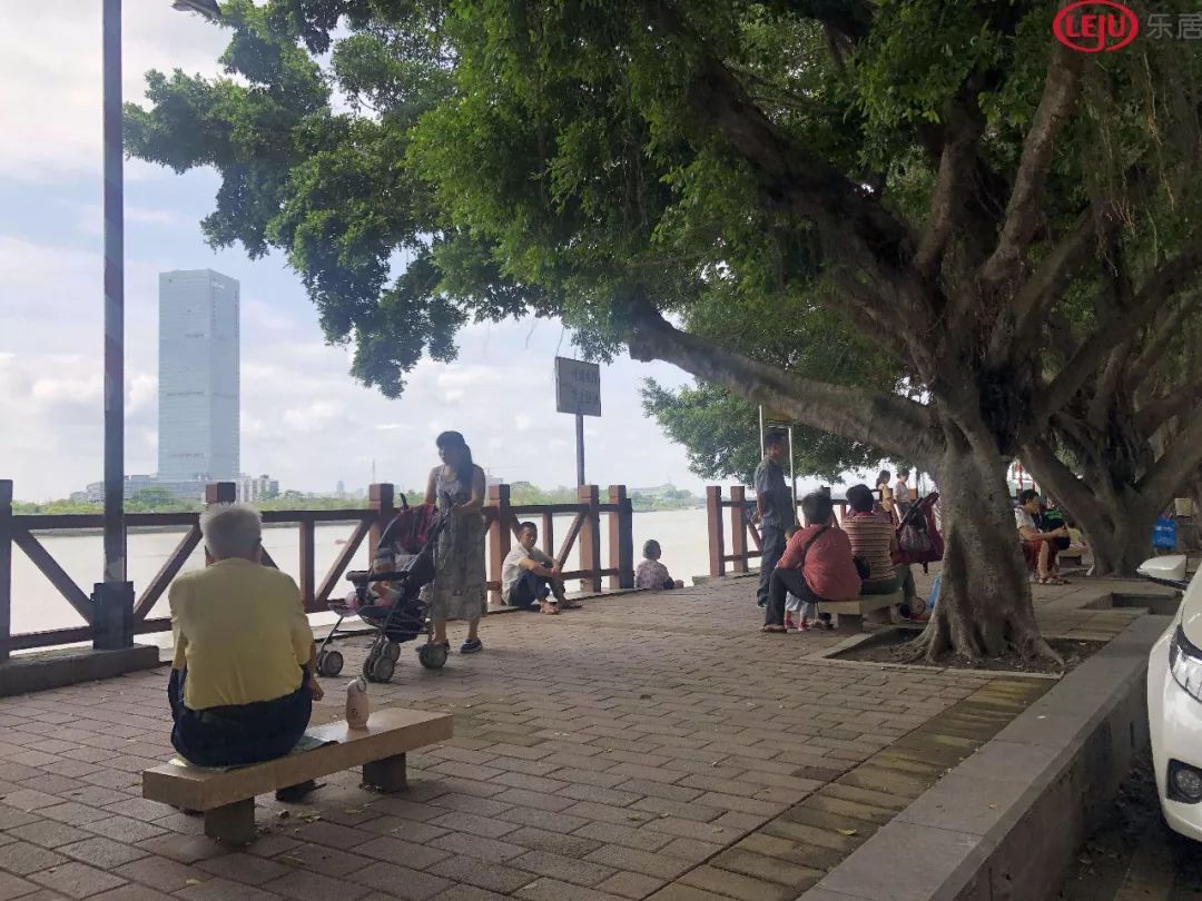 坐拥2公里一线水岸江景！这座村紧邻琶洲、生物岛、大学城！谁将拿下这块香饽饽？