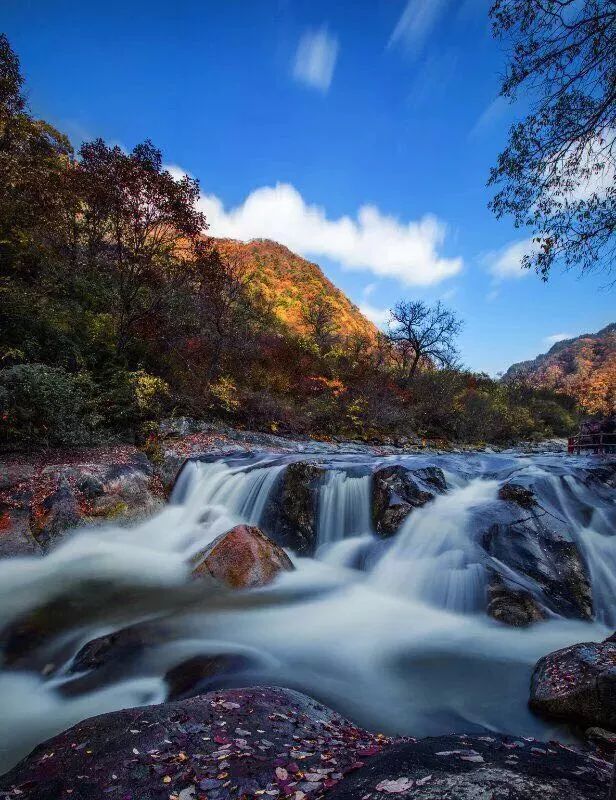 西安旅游景区直通车推出春节优惠,西安免费景点直通车
