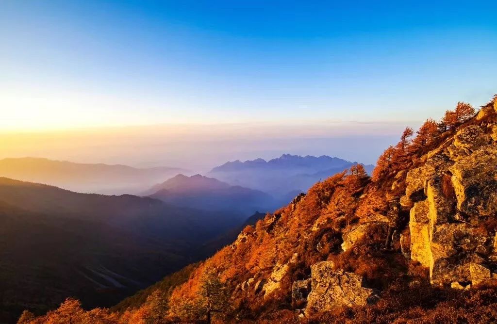 西安旅游景区直通车推出春节优惠,西安免费景点直通车