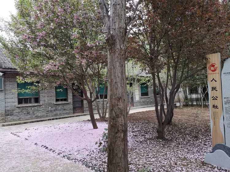 西安旅游景区直通车推出春节优惠,西安免费景点直通车