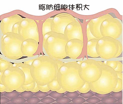 咖啡酱油都不碰，43岁“作”出钻石人生路