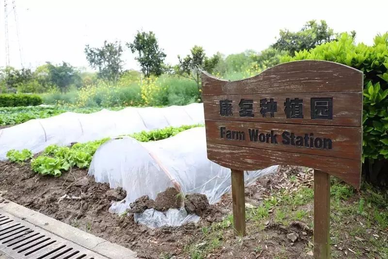 残疾人有哪些改造,关于残疾人的十大举措