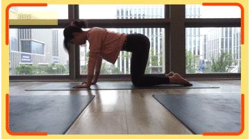 改善背部体态的动作,改善体态的瑜伽动作