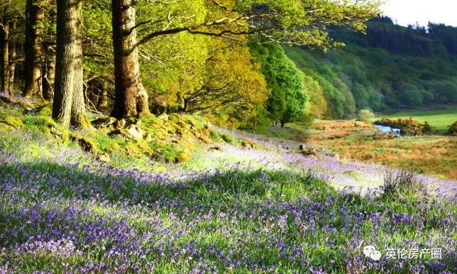 权游中的城堡,权游各个城堡